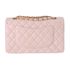Chanel Classic Double Flap Medium, back view